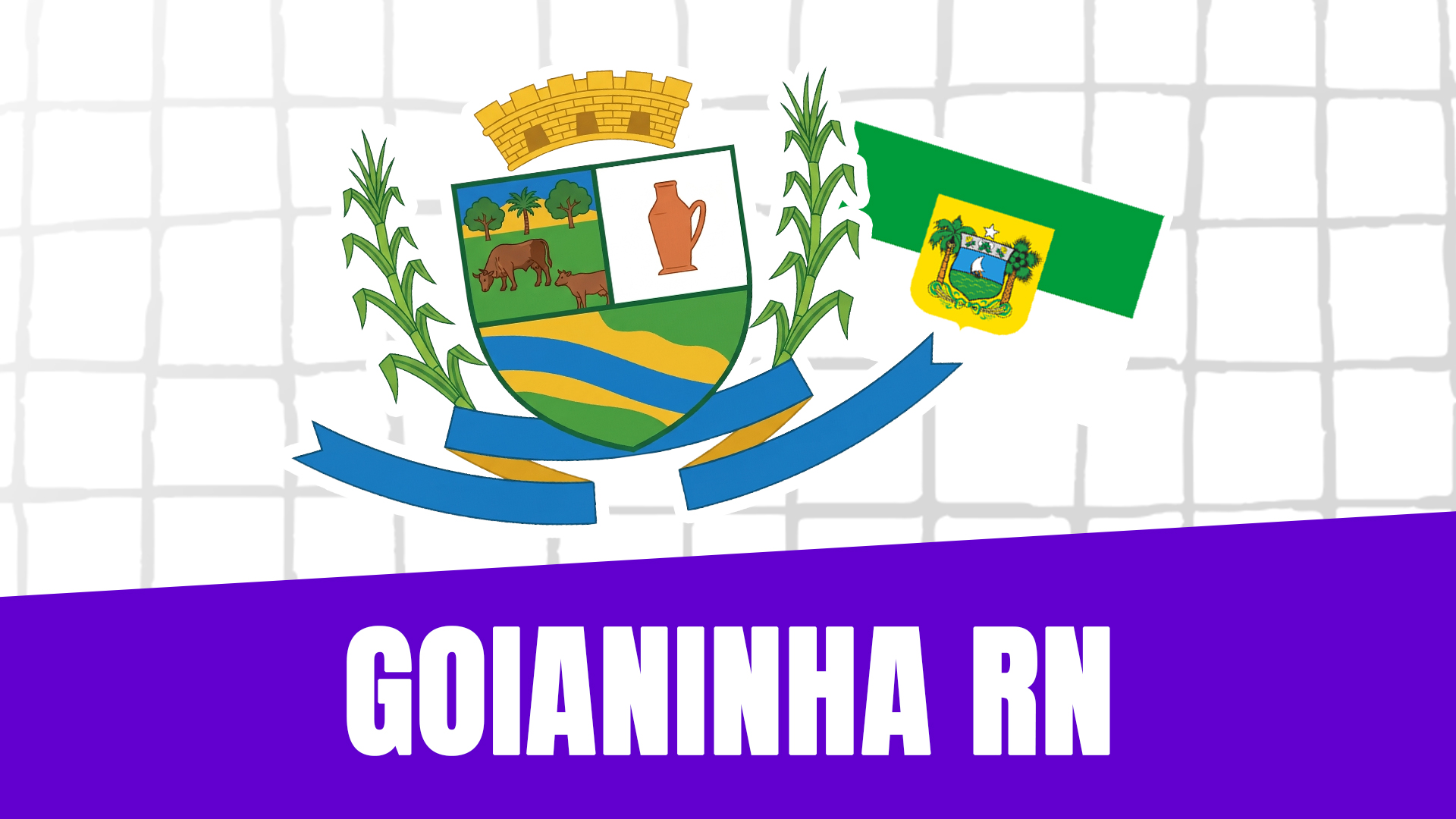 PREPARATÓRIO GOIANINHA RN