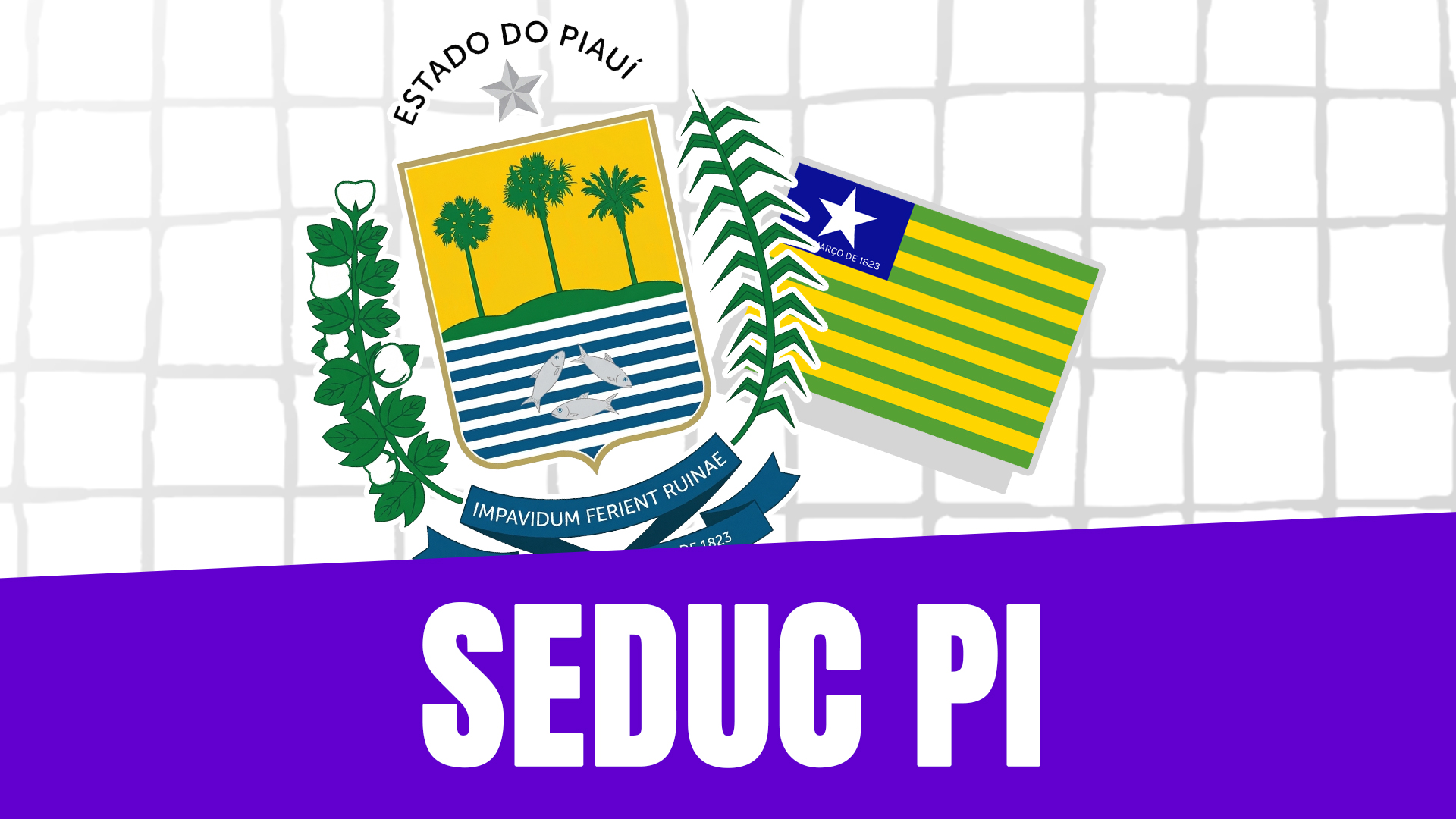 Preparatório Seduc Piauí