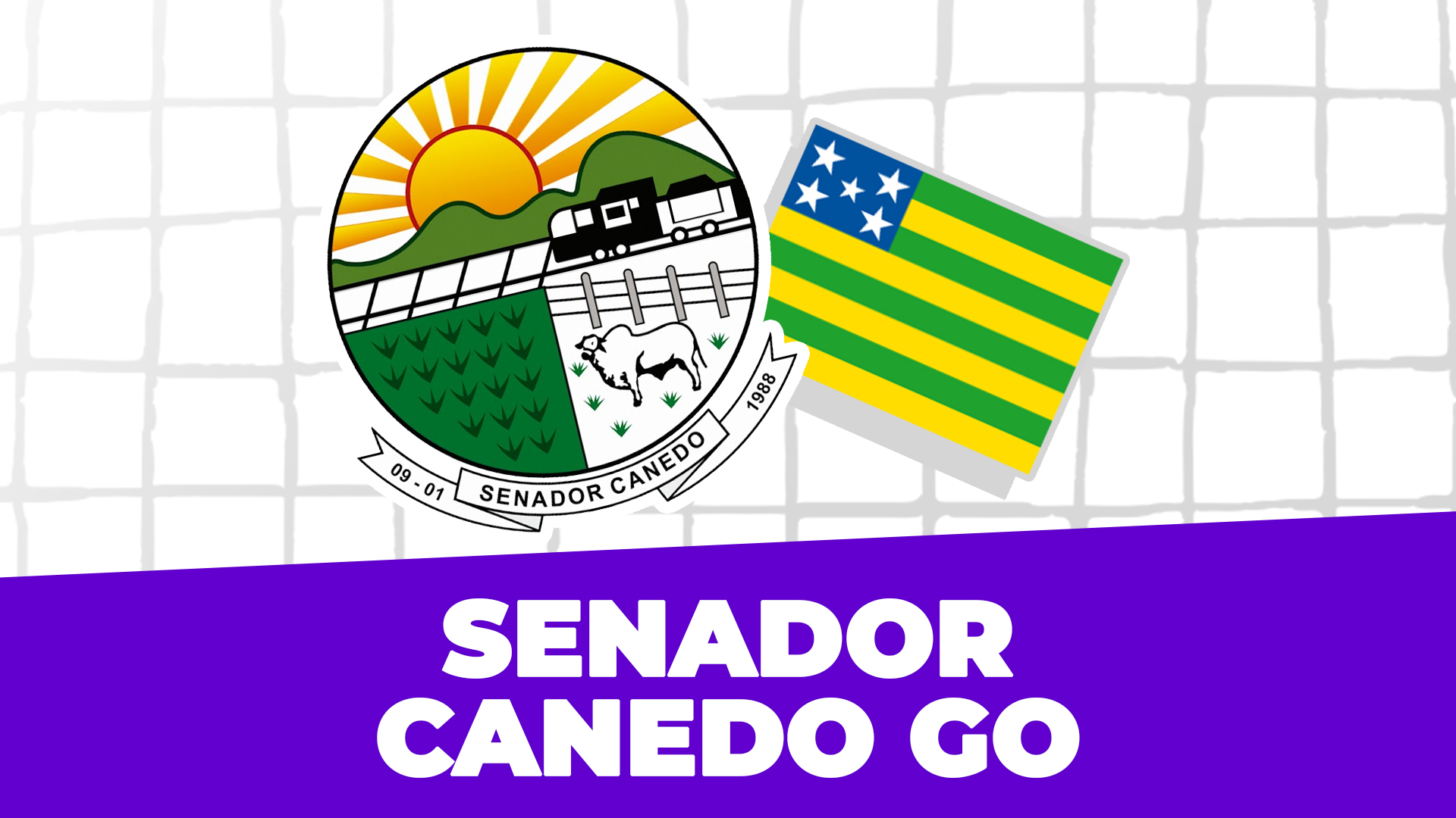 Curso Senador Canedo-GO