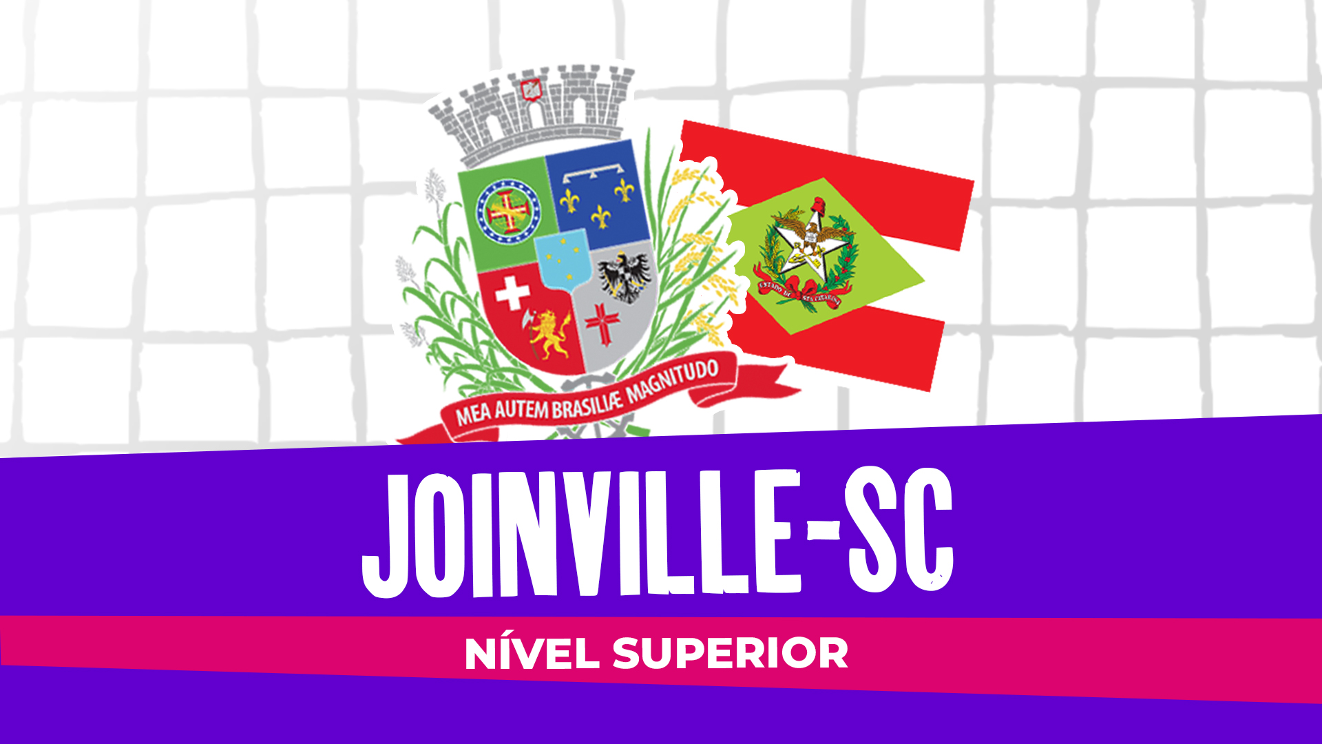 [FABIANA] Curso Concurso Joinville SC - Professor Anos Iniciais e Educação Infantil