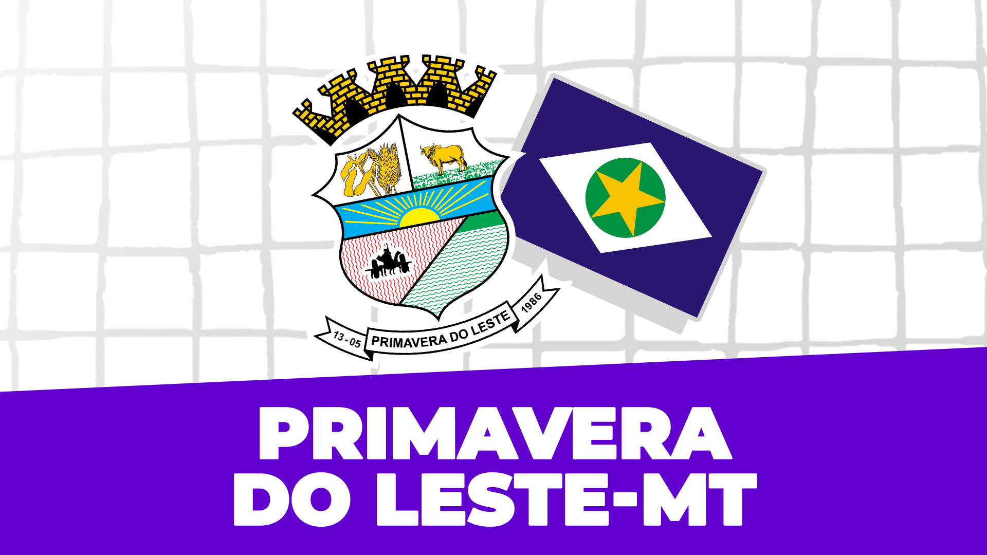 Curso Concurso Primavera do Leste MT